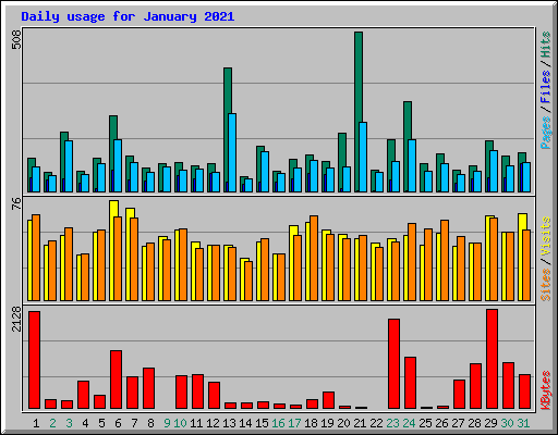 Daily usage for January 2021