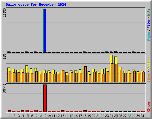 Daily usage for December 2024