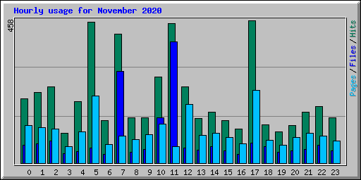 Hourly usage for November 2020