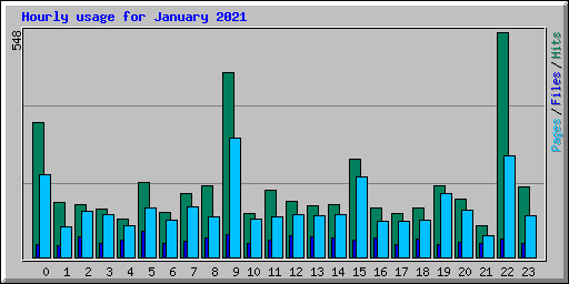 Hourly usage for January 2021