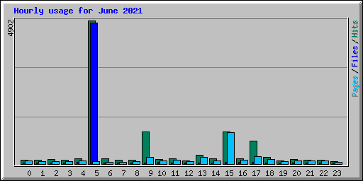 Hourly usage for June 2021