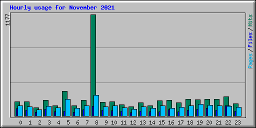 Hourly usage for November 2021