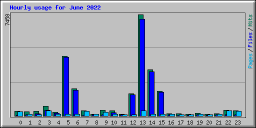 Hourly usage for June 2022
