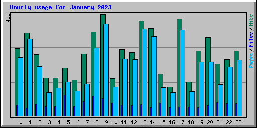 Hourly usage for January 2023