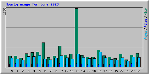 Hourly usage for June 2023