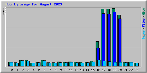 Hourly usage for August 2023