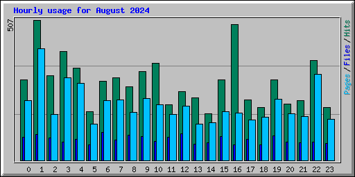 Hourly usage for August 2024