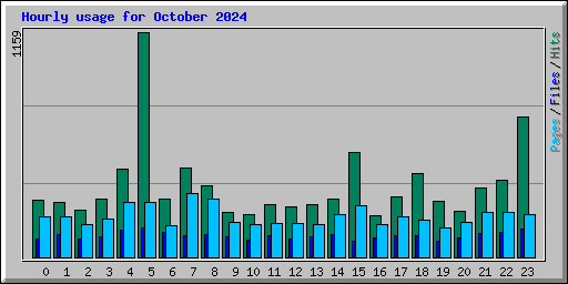 Hourly usage for October 2024