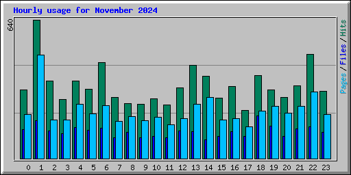 Hourly usage for November 2024