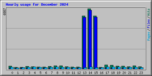 Hourly usage for December 2024