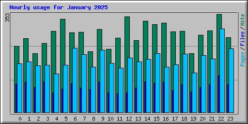 Hourly usage for January 2025