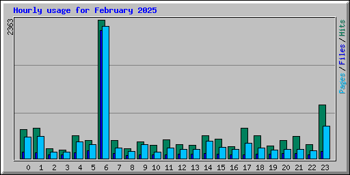 Hourly usage for February 2025