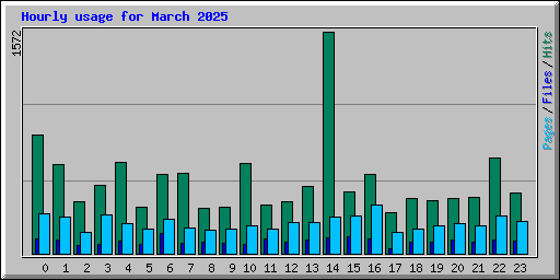 Hourly usage for March 2025