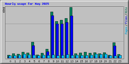 Hourly usage for May 2025