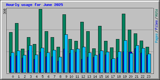 Hourly usage for June 2025